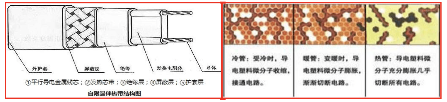 伴熱帶原理